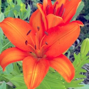 Meet your Posher, Stacy